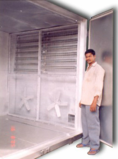 Drying Oven 5